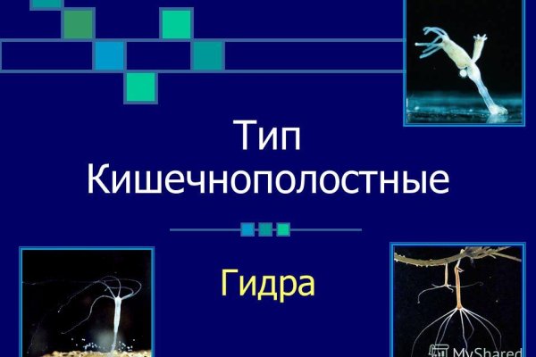 Восстановить аккаунт на кракене